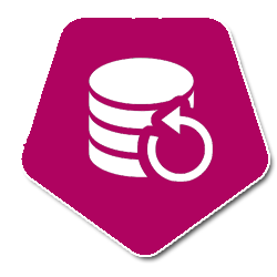 Data Backup Icon